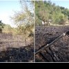 Incendiu de vegetație uscată la Nadăș. Flăcările amenințau să ajungă la o gospodărie