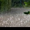 Avertizări meteo de ploi torențiale, vijelii și grindină! Județul Dâmbovița, sub Cod portocaliu și Cod galben de vreme rea