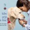 „HAM grijă de tine” – proiect inedit de terapie cu câini în trei spitale din România