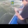 Braconaj piscicol pe Marea Neagra! Ce au descoperit politistii de frontiera in apropiere de Sulina