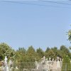 Cumparari directe Constanta: Pepiniera Neptun SRL va intretine cimitirele din municipiul Mangalia si va incasa aproape 300.000 de lei primarie (DOCUMENT)