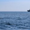 Fortele Navale din Bulgaria, Romania si Turcia coopereaza pentru lupta impotriva minelor din Marea Neagra