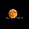 Fotoreportaj Constanta: Luna stralucitoare deasupra Statiunii Mamaia (GALERIE FOTO+VIDEO)