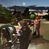 Șoferi drogați și băuți prinși la volan în urma unei razii desfășurate în weekend de polițiștii din Timiș