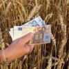 Bugetul schemei de ajutor de stat „Creditul fermierului” – majorat cu 646 de milioane de lei