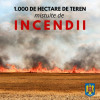 140 de incendii de vegetație în ultimele 24 de ore IGSU – Inspectoratul General pentru Situatii de Urgenta, Romania , avertizează