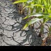 Fermierii buzoieni cer schimbarea legislației pentru despăgubirile cauzate de secetă