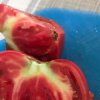 Ce a găsit o clujeancă în „roșiile țărănești” de la un supermarket din Cluj. Femeia a fost șocată de situație: „Curgea din ele” - FOTO