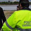 Ce spune Poliția Cluj despre imaginile șocante cu câinele legat și tras de mașină în Săndulești. Bărbatul a fost amendat cu doar 1000 de lei