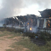Cluj: Ce s-a întâmplat cu porcii care au murit în incendiul de la ferma din Lita. Peste 600 de animale și-au pierdut viața