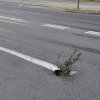 Cluj: S-a surpat asfaltul pe Bulevardul Muncii. A fost semnalizat cu ,,indicatoare de circulație BIO” - FOTO
