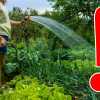 Compania de Apă Someș, apel către clujeni: „Nu udați grădinile cu apă potabilă! Alții vor suferi și vor rămâne fără apă”