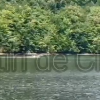 La Cluj legile sunt făcute doar pentru unii! Deși e interzis de ani buni, o barcă cu motor a fost filmată în plină zi pe Tarnița - VIDEO