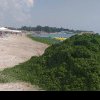 Plajele de pe litoral, invadate de alge: „Specia oportunistă a profitat de temperaturile mari din apă”