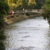 Un oraș din vestul țării ia fața Clujului: „La Someșul nostru, în Cluj, nu este nimic amenajat pentru înot, deși se pot găsi soluții”