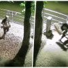 Vandalism surprins pe camerele de supraveghere! Doi tineri au făcut prăpăd într-un parc din Cluj. Au aruncat tot ce le-a căzut în mână în lac- VIDEO