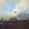 Incendiul de vegetație de la Roma, lângă sediul RAI și Curtea de Justiție: s-a ordonat evacuarea birourilor și a locuințelor din apropiere - Video