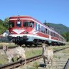 Trenul Buzău-Nehoiașu anulează curse de călători pe Valea Buzăului