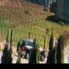 VIDEO Nesimțirea e în floare la Cluj. Un șofer a furat mingea unui copil: ,,Domnul și-a însușit-o și a plecat